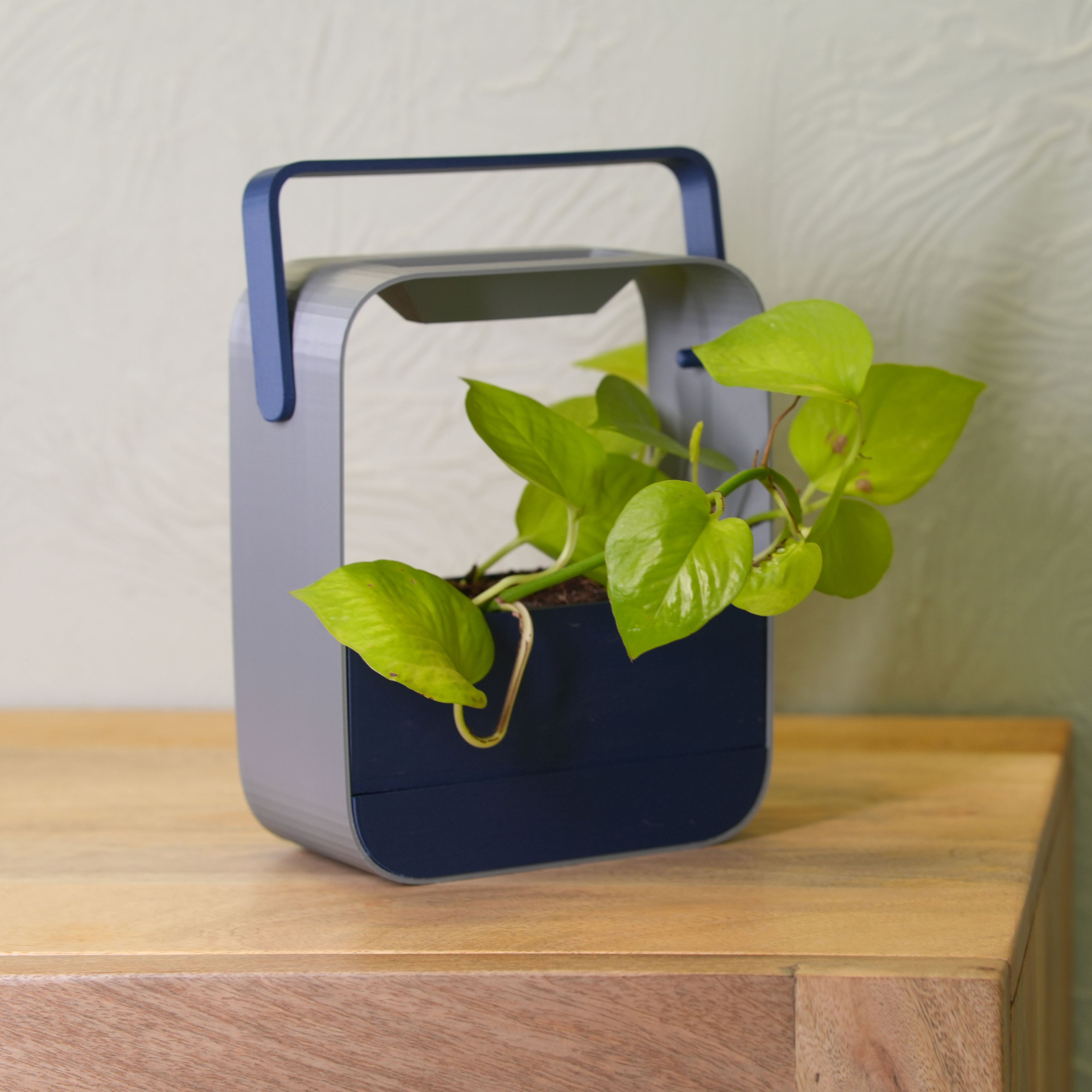Rain Planter