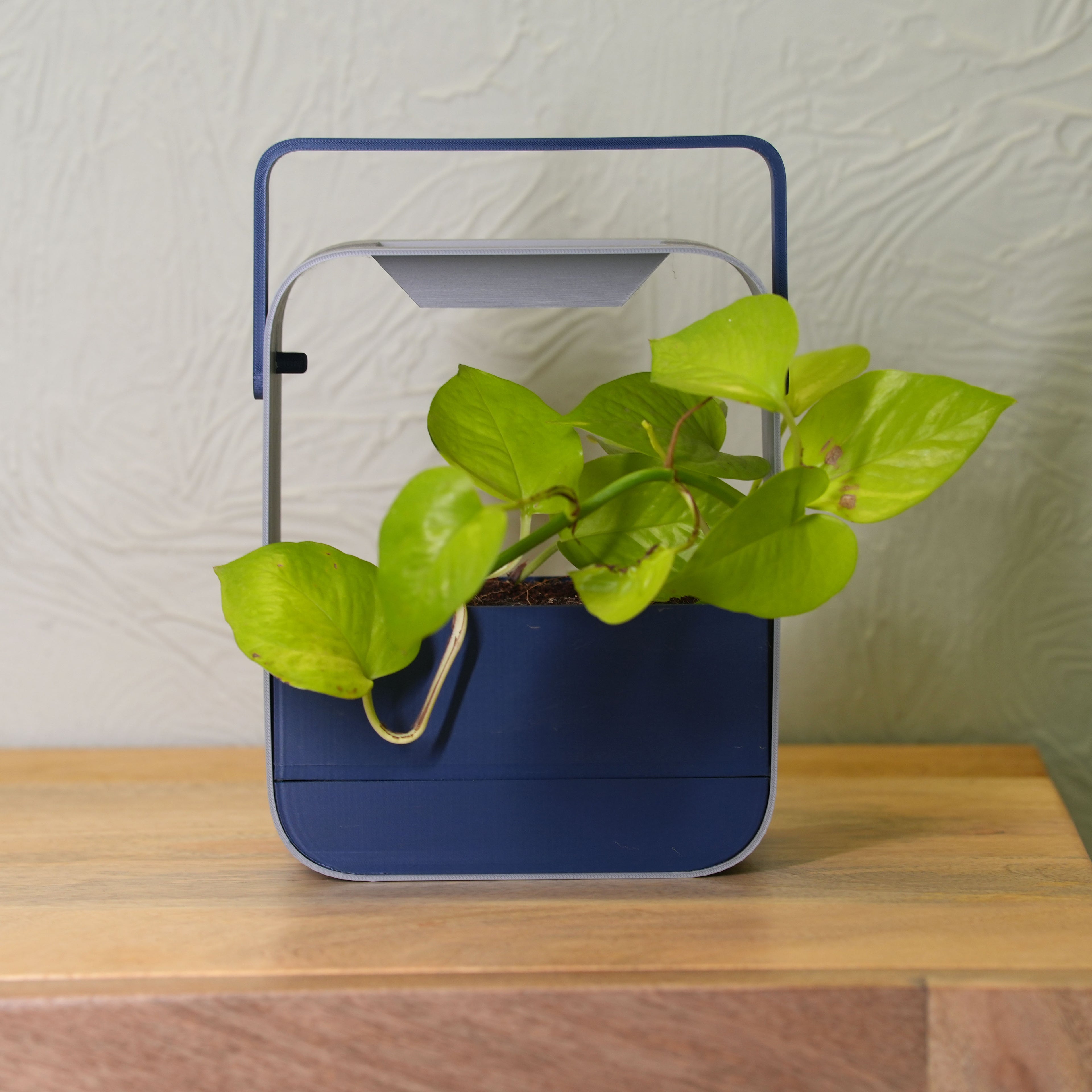 Rain Planter